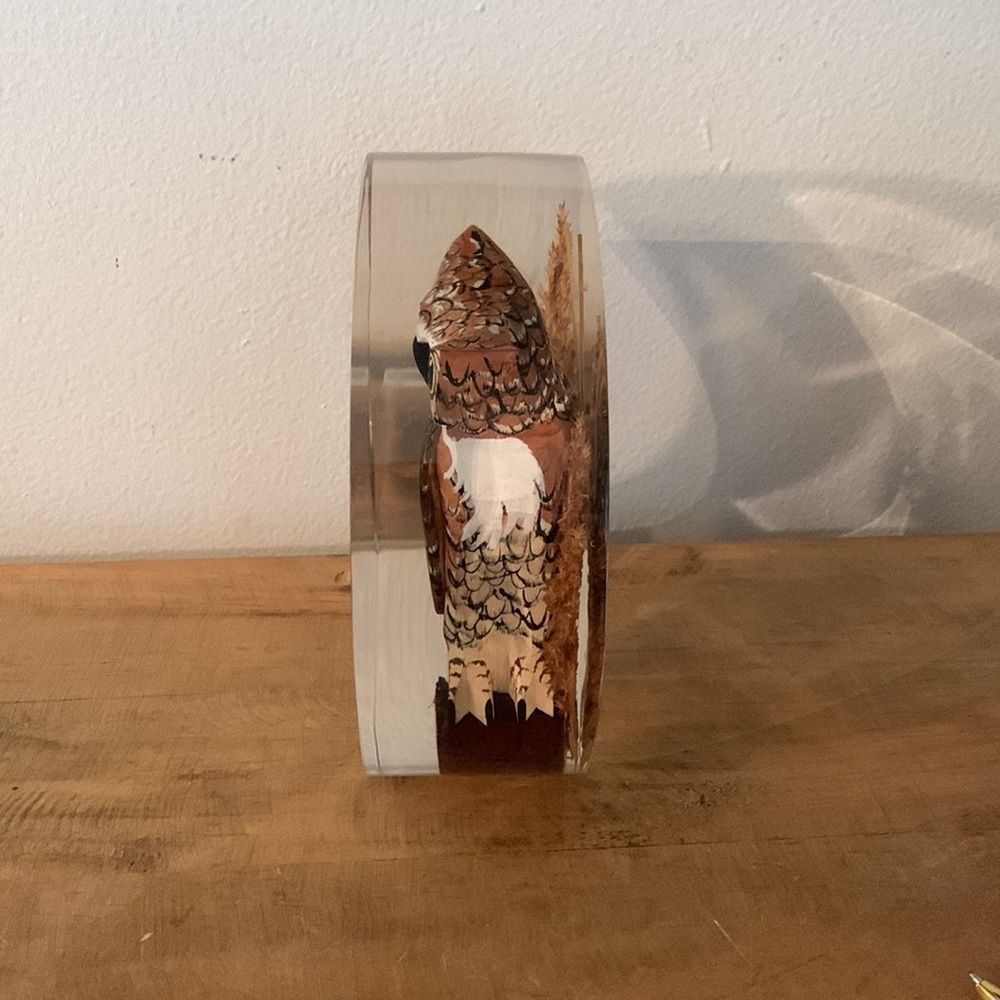 Vintage Mid-Century Hand Carved Wooden Owl Encased in Lucite Shaped Moon - Picture 2 of 8